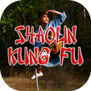 Shaolin Kungfu Videos APK