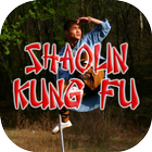 Shaolin Kungfu Videos icon