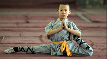 Shaolin Kungfu Videos captura de pantalla 2