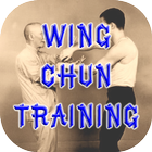 Wing Chun Technique Videos icône