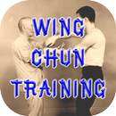 Wing Chun Technique Videos APK