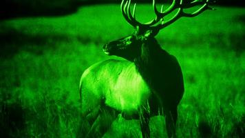 Night Vision Camera screenshot 3