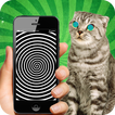 Real Hypnotizer For Cats
