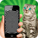 La hipnosis para los gatos APK