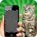 Real Hypnotizer For Cats ikon