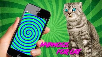 Echt Hypnose für Katzen Plakat