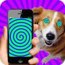 Hypnose réel pour les chiens APK