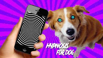 Hypnose réel pour les chiens Affiche