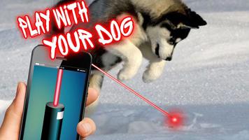 Laser Pointer: Dog Edition Affiche