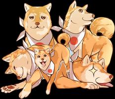 Shiba Love Story 海报