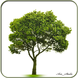 Kamus Bercocok Tanam