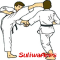 Teknik Karate Terlengkap