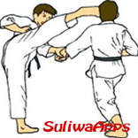 Best Karate Technique