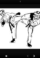 Karate Figthing Style capture d'écran 1