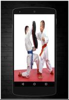 Karate Technique স্ক্রিনশট 3