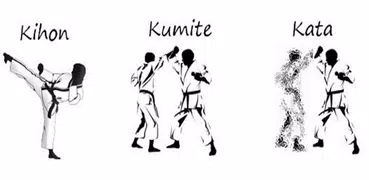 Learn Karate Techniques