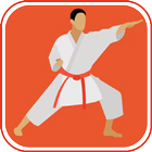Learn Karate Techniques icône