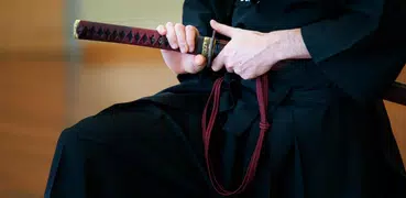 Kenjutsu Schwertkampfhandbuch