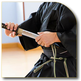 Katana Sword Fighting icon