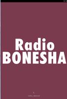 Radio Bonesha 截图 1