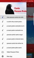 Canto do Passaro Preto Melro Ekran Görüntüsü 3