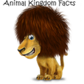 Animal Kingdom Facts