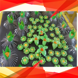 Craft plastic bottle idea