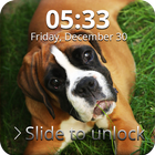 Boxer Dog Lock Screen icono