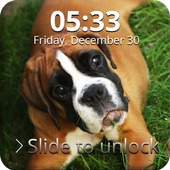 Boxer Dog Lock Screen icon