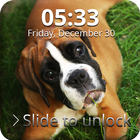 Boxer Dog Lock Screen ícone