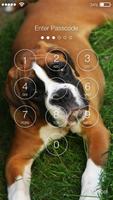 Boxer Dog Lock Screen اسکرین شاٹ 1