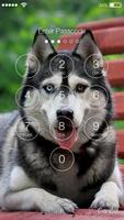 Siberian Husky Dog Lock Screen Cartaz