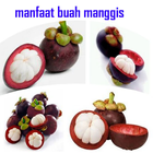 Benefits of Mangosteen Fruit For Health icône