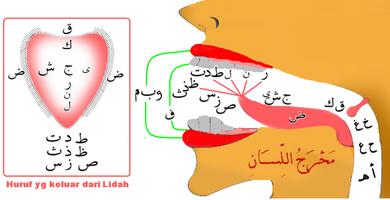 برنامه‌نما Belajar Tajwid Lengkap عکس از صفحه