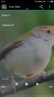 Full Kicau Burung Ciblek captura de pantalla 1