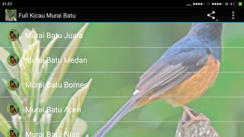 Kicau Burung Kenari Offline Lengkap screenshot 3