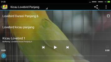 Full Kicau Burung Lovebird captura de pantalla 2