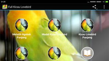 Full Kicau Burung Lovebird captura de pantalla 3