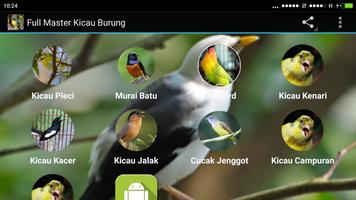 Full Master Kicau Burung capture d'écran 3