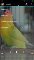 Full Master Kicau Burung capture d'écran 1