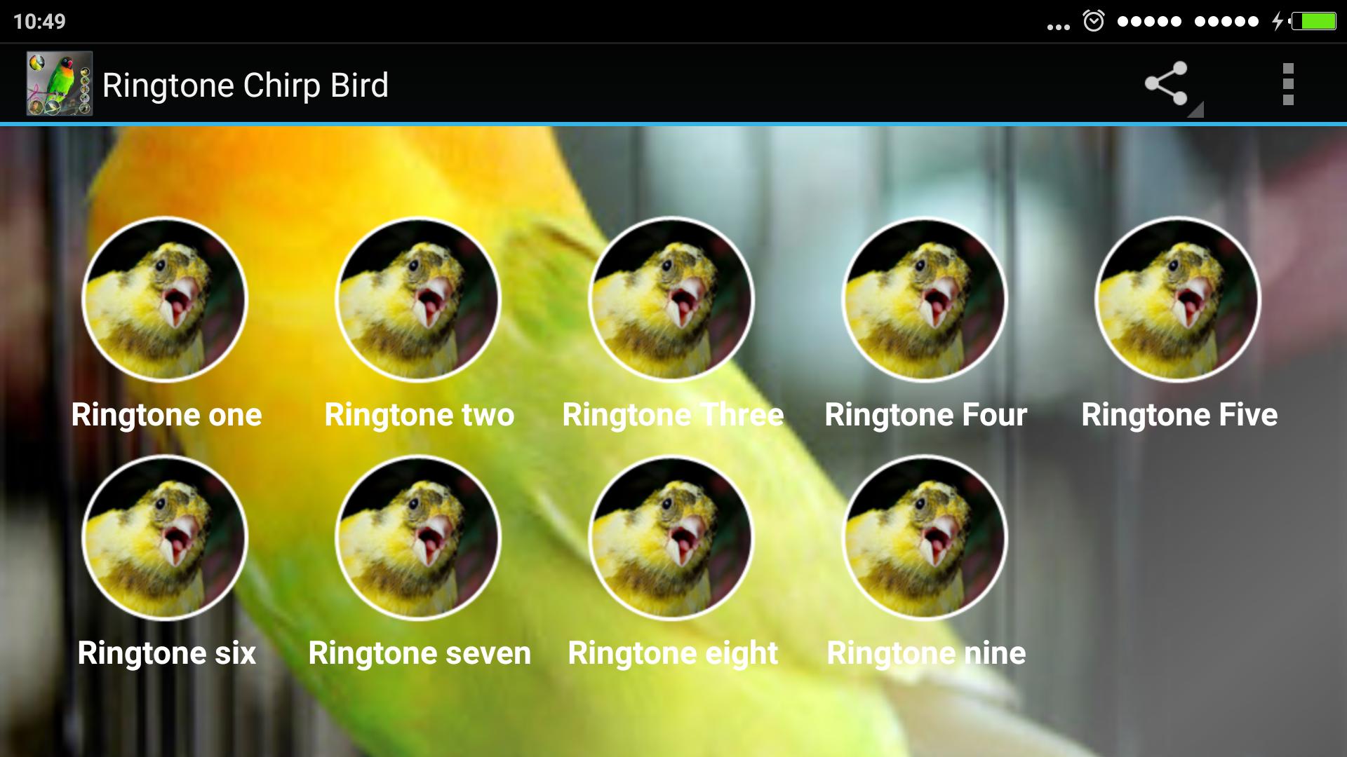 Рингтон bird