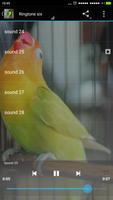 Ringtone Kicauan Burung capture d'écran 1
