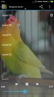 Chirp Bird Ringtone screenshot 2