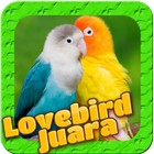 Lovebird Birds ikon
