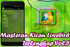 Lovebird Birds syot layar 3