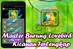 Lovebird Birds 포스터