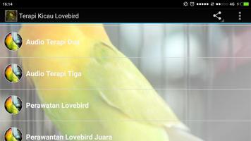 Terapi Kicau Burung Lovebird capture d'écran 3