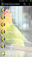 Terapi Kicau Burung Lovebird captura de pantalla 1