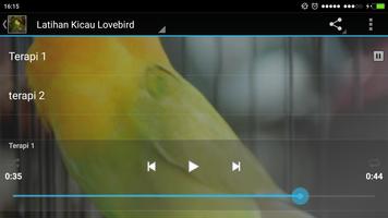 Terapi Kicau Burung Lovebird captura de pantalla 2