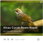 Kicau Burung Cucak Rowo Ropel icône